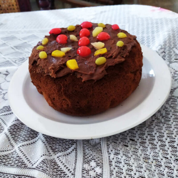 chocolate cake with fruits